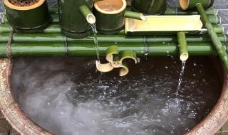 小鱼缸里的过滤器方法 自制鱼缸过滤器